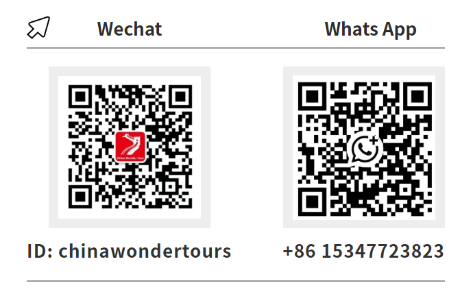 WeChat & WhatsApp Contact
