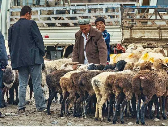 5 Days Xinjiang Classic Tour